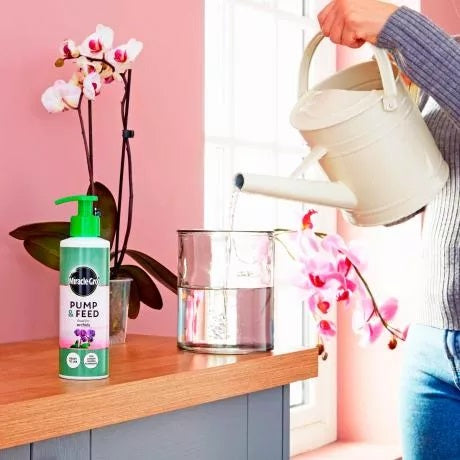 Miracle-Gro Pump & Feed Orchid