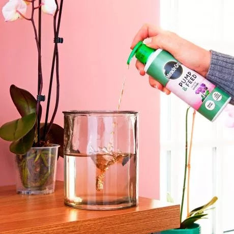 Miracle-Gro Pump & Feed Orchid