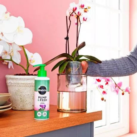 Miracle-Gro Pump & Feed Orchid