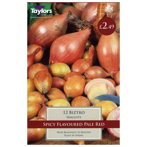 Shallots Biztro