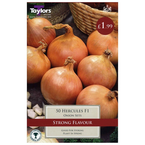 Onion Hercules F1