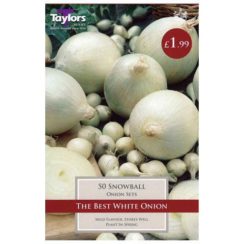 Onion Snowball