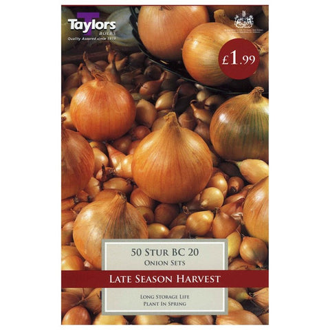 Onion Stur BC 20