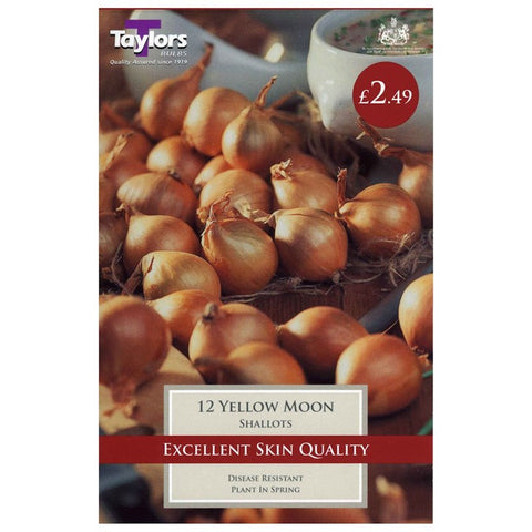 Shallots Yellow Moon