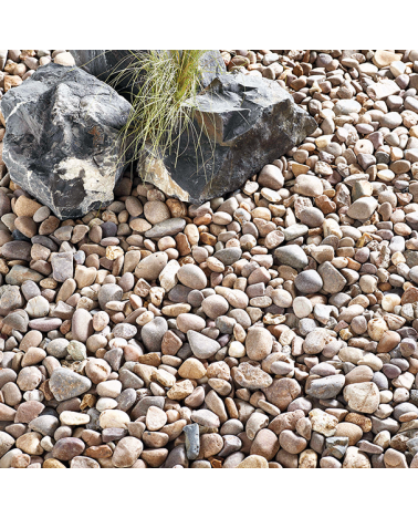 Coastal Pebbles