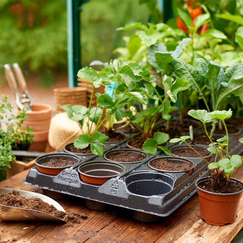 Grow it Growing Tray 18 Pot Round