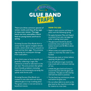 Glue Band Traps
