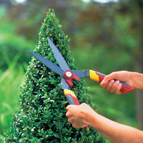Wolf-Garten Box Tree Shears