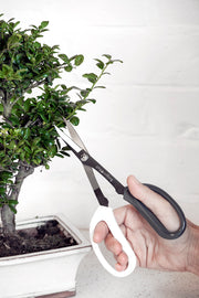 Japanese Pruning Scissors