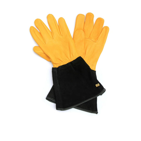 RHS Gold Leaf - Tough Touch Gloves