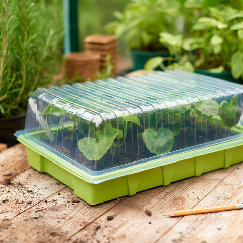 Grow it Standard Seed Trays Lid