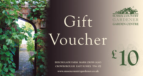 £10 Gift Voucher