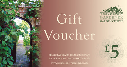 £5 Gift Voucher