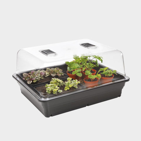 Stewart Electric Thermostatic Propagator