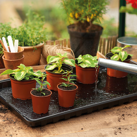 Grow it Watering Tray 2pk