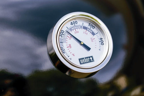 Weber® Summit Kamado E6