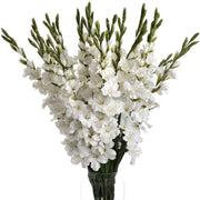 Artificial Flower White Gladioli