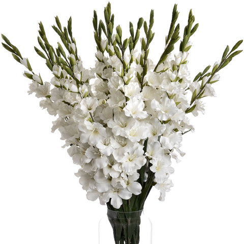 Artificial Flower White Gladioli